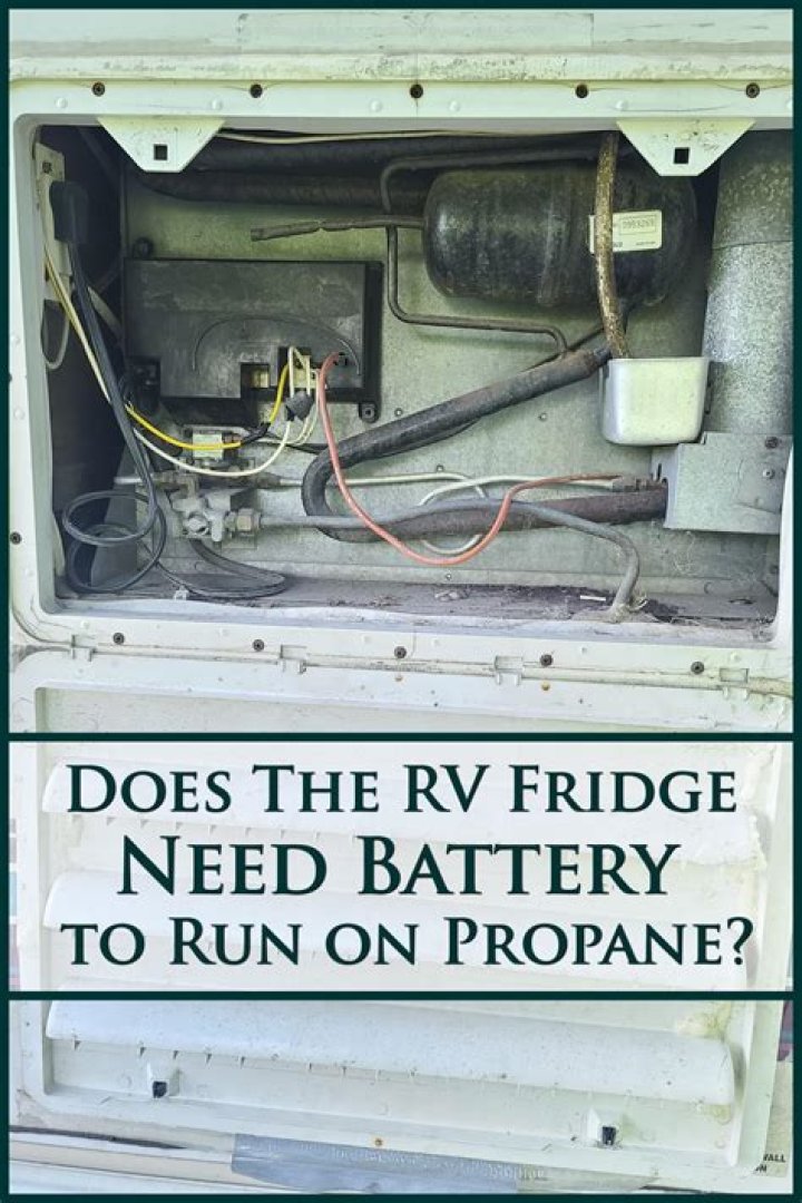 Can a Dometic refrigerator switch from electric to propane?