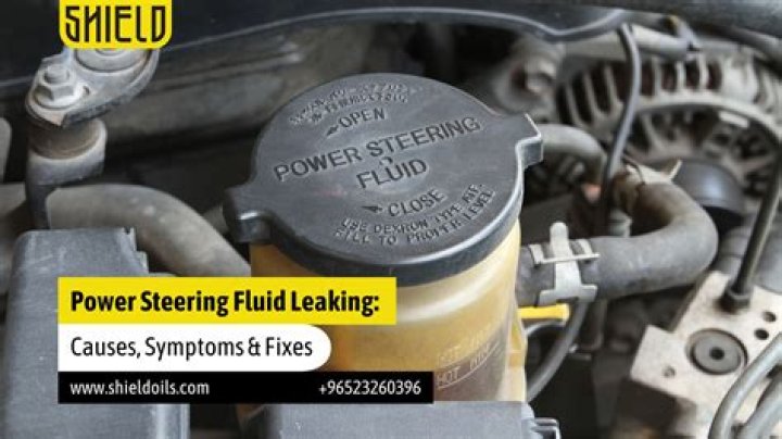 Can you check the power steering fluid?