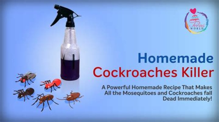 How do you make homemade cockroach killer?