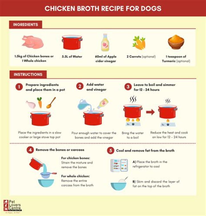 How much chicken broth can a dog have?