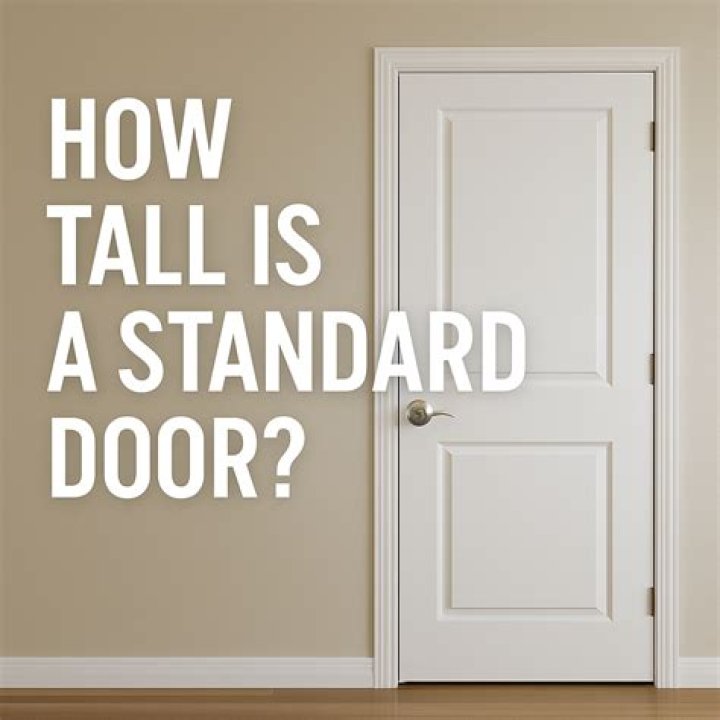 How tall is a full size baggage door?