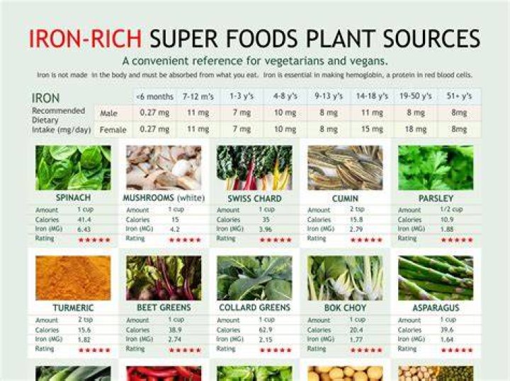 What is iron in the diet?