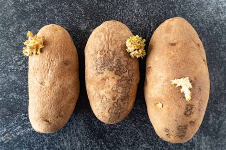 Why did my grated potatoes turn black?