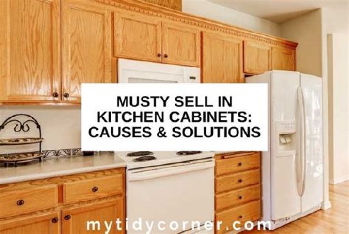 Why is my cabinet dripping water?